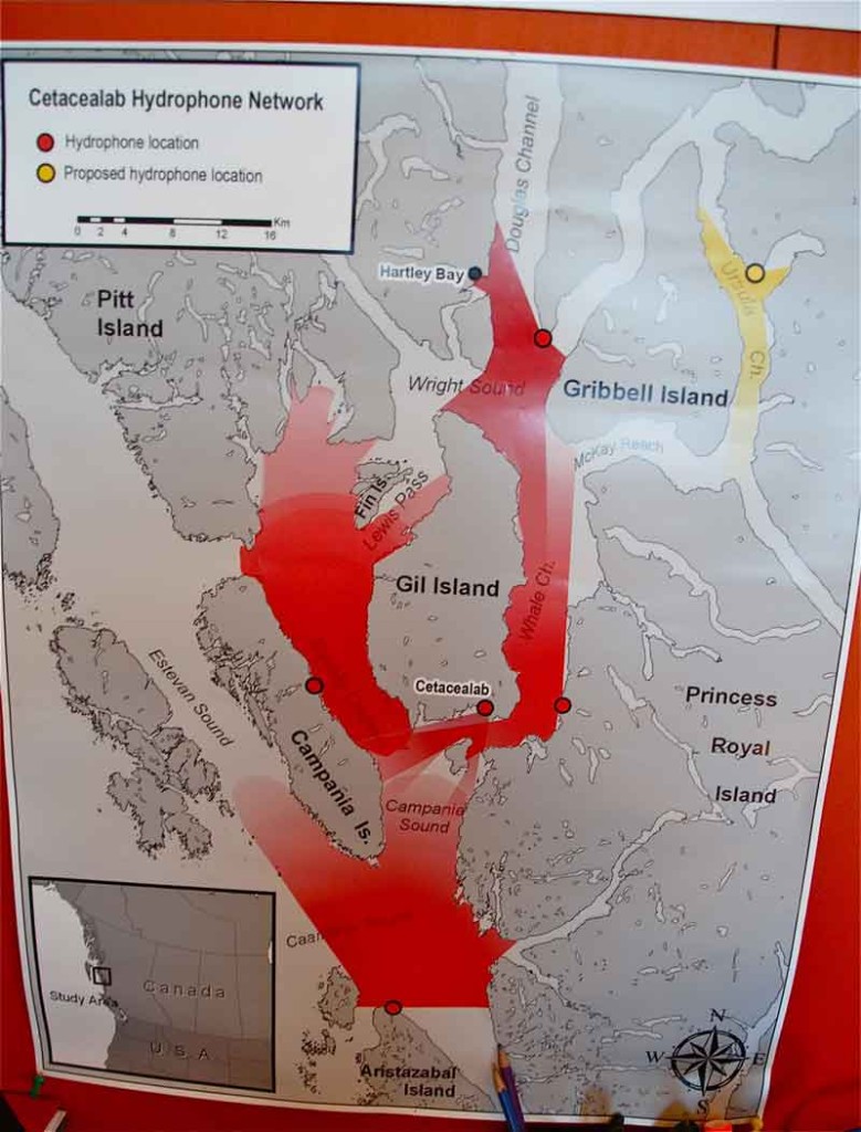 Walbeobachtung in Kanada - Cetacealab, British Columbia: Die den Walen lauschen - out-of-canada.olehelmhausen.de - 4